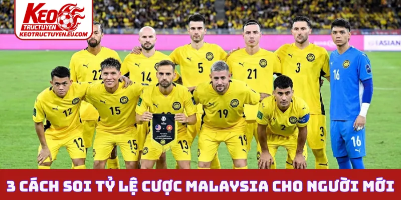 3 cách soi tỷ lệ cược Malaysia cho người mới