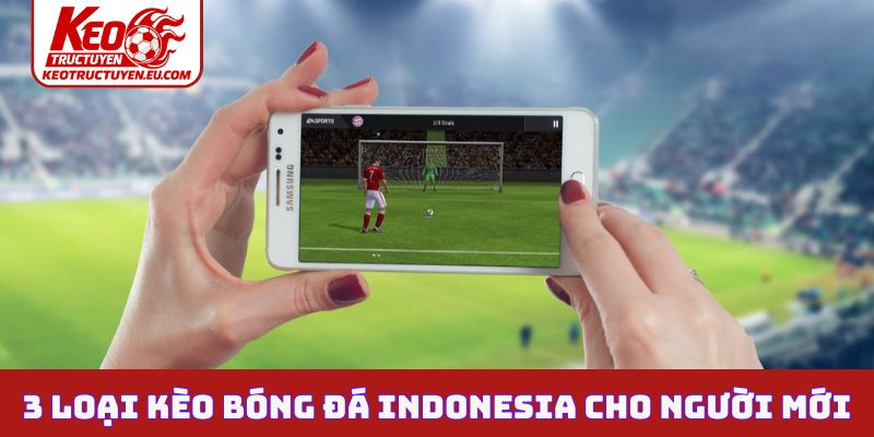 3 loại kèo bóng đá Indonesia cho người mới