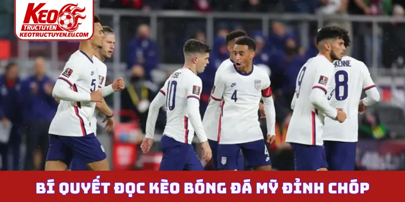 Bí quyết đọc kèo bóng đá Mỹ đỉnh chóp