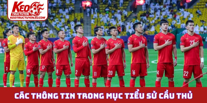 Các thông tin trong mục tiểu sử cầu thủ