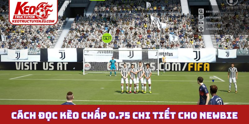 Cách đọc kèo chấp 0.75 chi tiết cho newbie