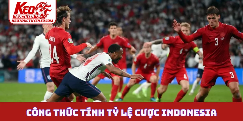 Công thức tính tỷ lệ cược Indonesia từ cao thủ