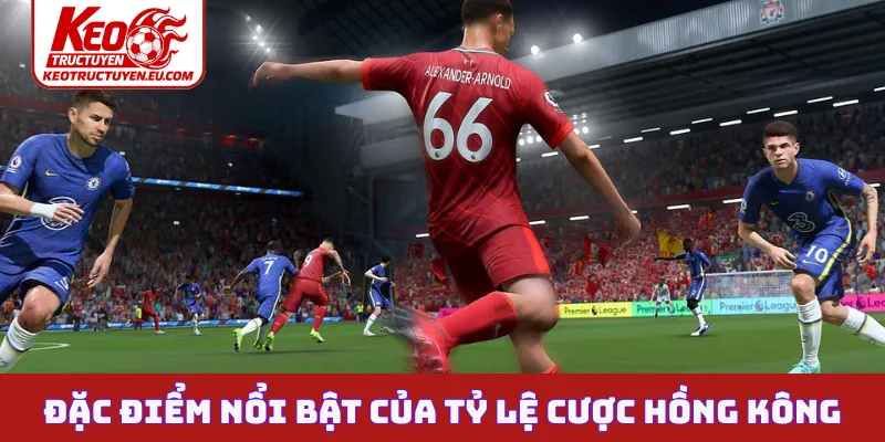 Đặc điểm nổi bật của tỷ lệ cược Hồng Kông