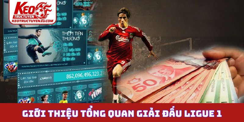 Giới thiệu tổng quan giải đấu Ligue 1