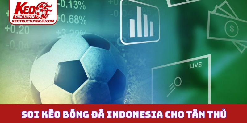 Học cách soi kèo bóng đá Indonesia cho tân thủ