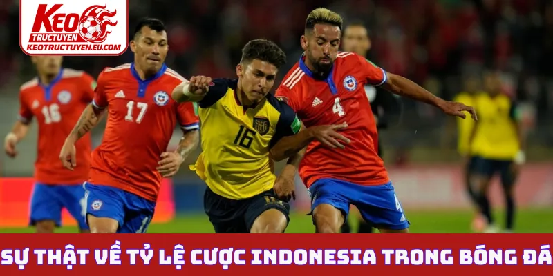 Sự thật về tỷ lệ cược Indonesia trong bóng đá