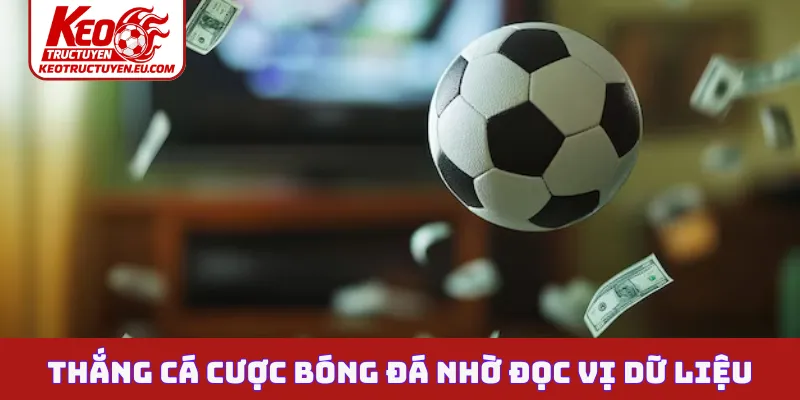 Thắng cá cược bóng đá nhờ đọc vị dữ liệu