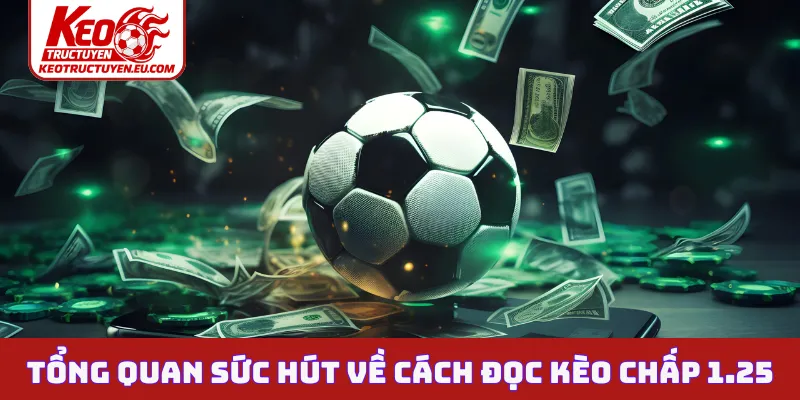 Tổng quan sức hút về cách đọc kèo chấp 1.25