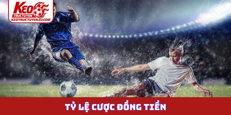 Tỷ lệ cược đồng tiền