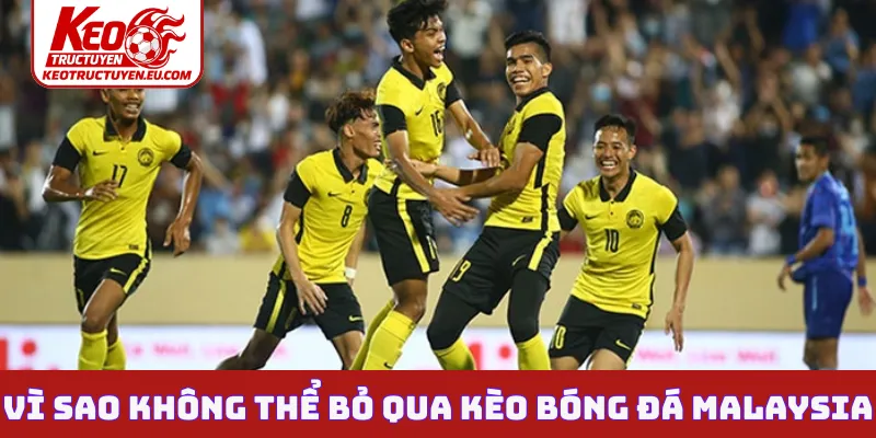 Vì sao không thể bỏ qua kèo bóng đá Malaysia?